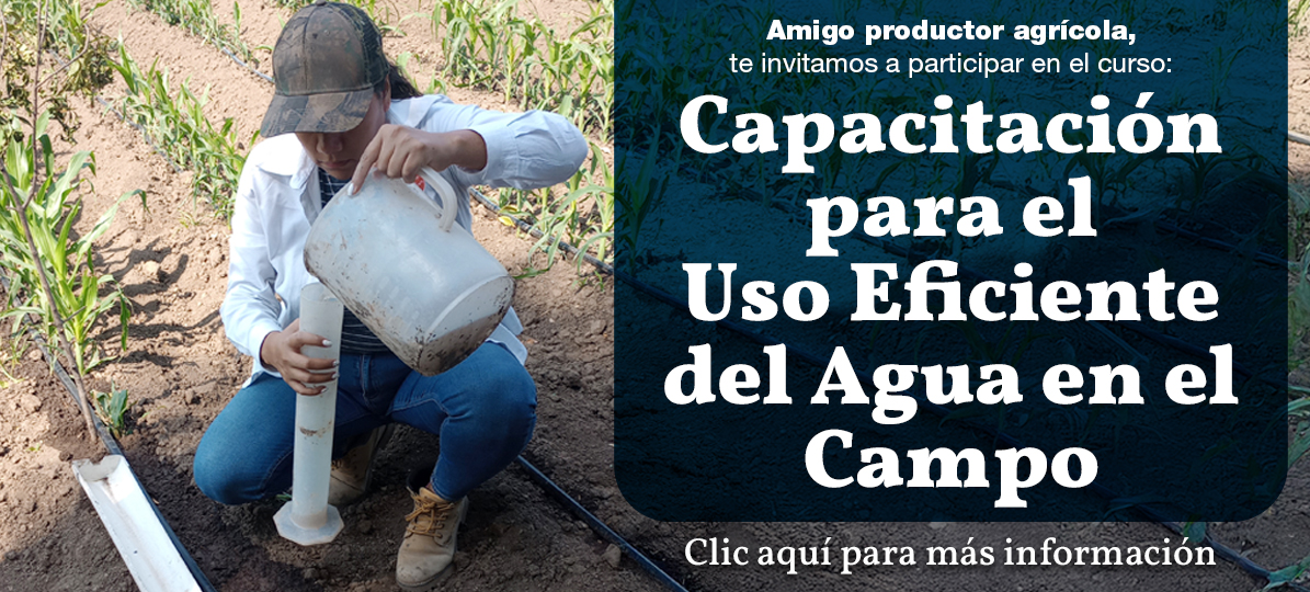 Cursos