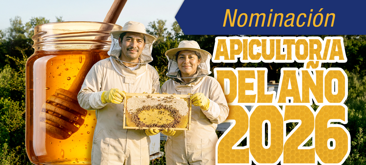 Mejora Regulatoria 2024